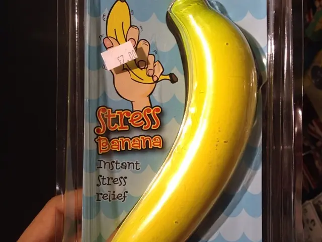 The Role of Stress in Heart Disease, Cancer, and Tuberculosis: An Insightful Analysis