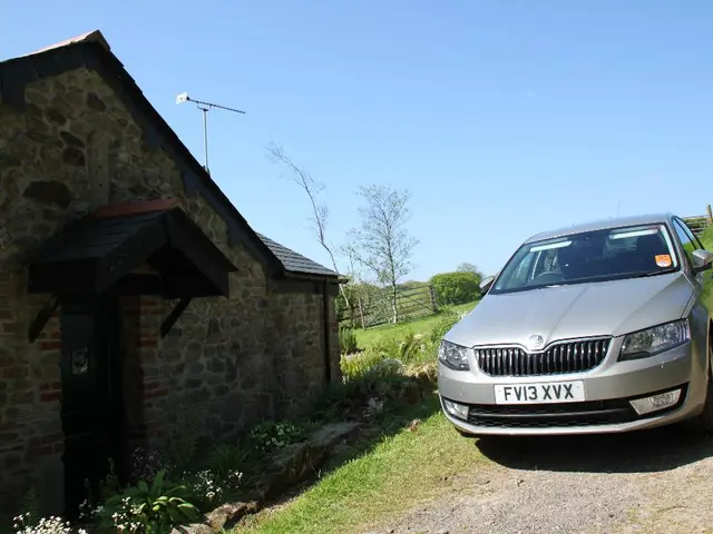 Passion for the Environment: Unraveling the Techniques for a Sustainable Earth