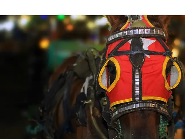 Phoenix Property Market 2025: Prosperity, Adjustment, or Collapse? (Analysis, Forecasts, and...