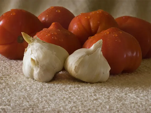 Unveiled Deception in Cooking Oil: HSRW Graduate Recognized for Exposing Oil Fraud