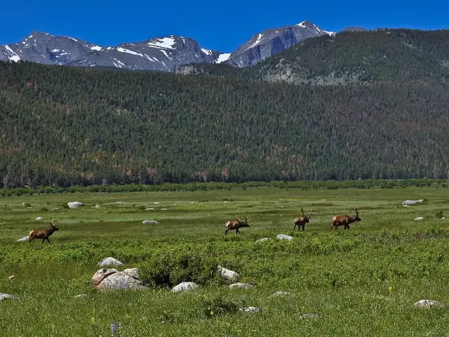 acidic substances hint for crossword puzzle, placed two rows below