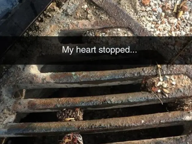 Impact of Heart Failure on the Brain: Is There a Connection?