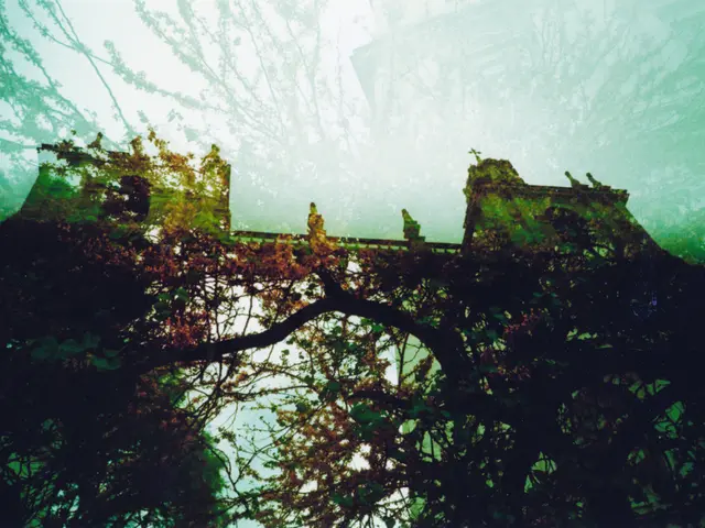 STEM Challenge Worksheet: A Printable Resource for Bridge Building (No Cost Involved)