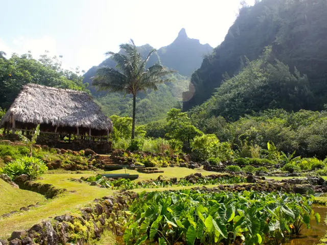 Cardiac Issue Explained: Angina