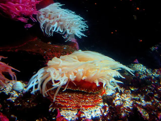 College Focus: Alyssa Griffin, Student Highlight from Scripps College