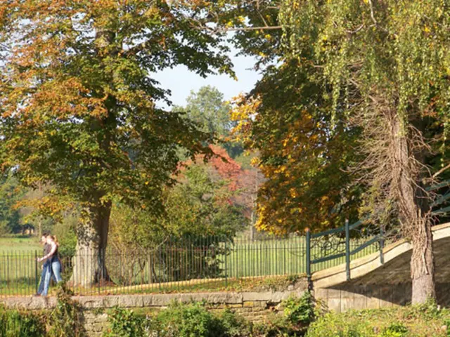 Exploring Nature for Friendship Development: 7 Strategies that Ignite Awe