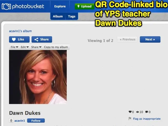 Navigating and Countering Adverse Political Comments and Associated Online Movements