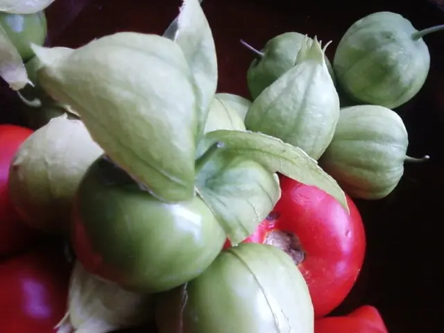 Development in research and innovation, along with policy adjustments, could potentially transform...