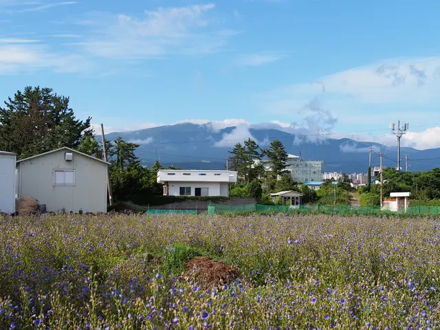 Solar-Powered Educational Institutions: Essential Information