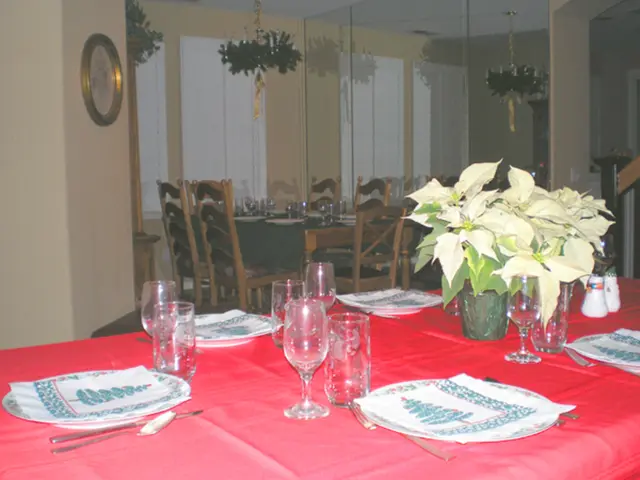 A User-Friendly Replacement for Canva