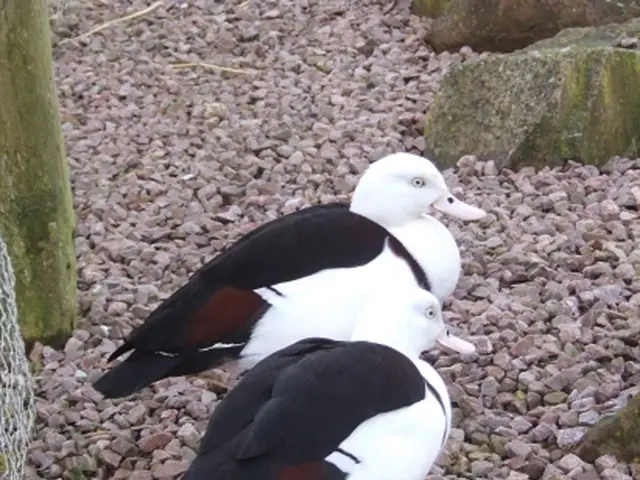 Master the Art of Game Audio Design Using FMOD: Versatile Character Sound Systems