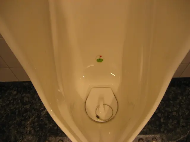 Federal intervention in Alexandria schools' affairs is criticized by Warner, highlighting alleged...