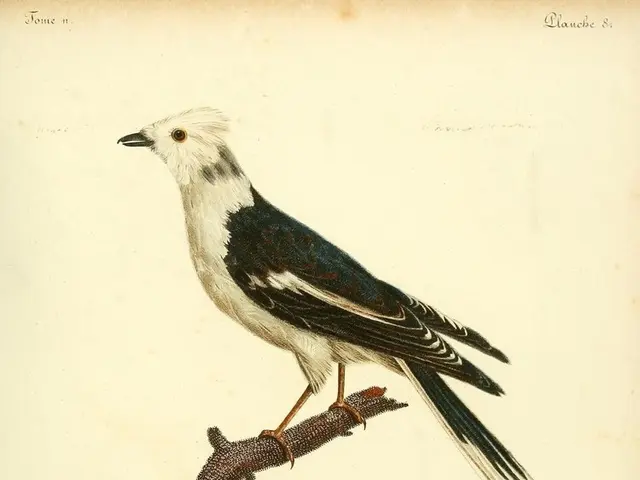 Hard-Hitting Quotes to Boost Your Resilience and Drive