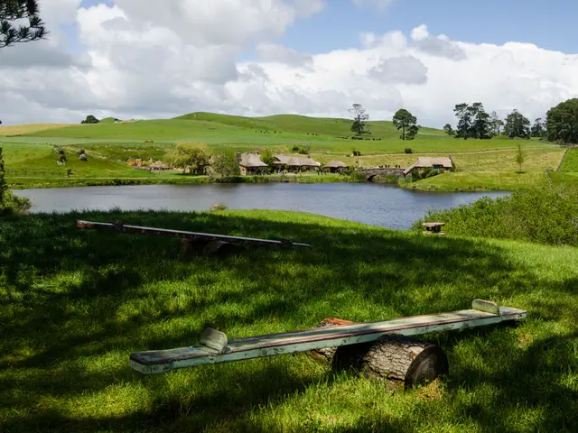 In this image there are logs, on that log there are wooden planks, there is a green land, in the...