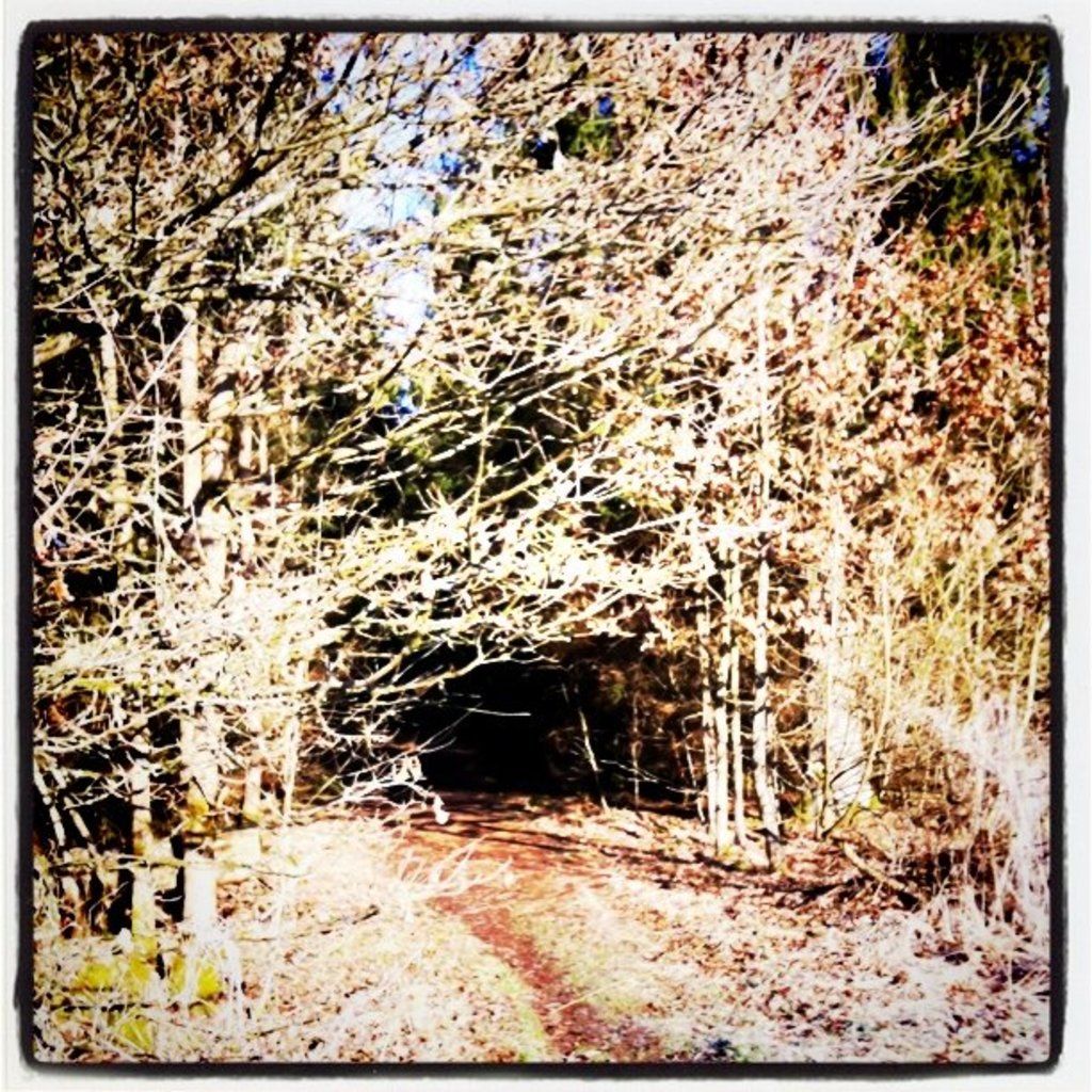 Career Day event hosted by Lycée Français International Jacques Prevert's management took place...